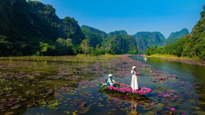 Du lịch Ninh Bình: Check-in mùa hoa súng tuyệt đẹp tại Tam Cốc