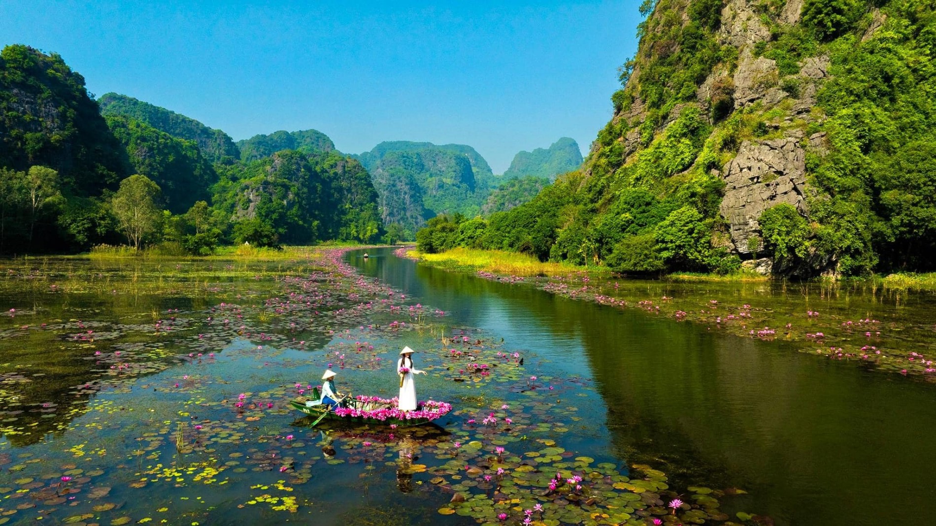 Du lịch Ninh Bình: Check-in mùa hoa súng tuyệt đẹp tại Tam Cốc