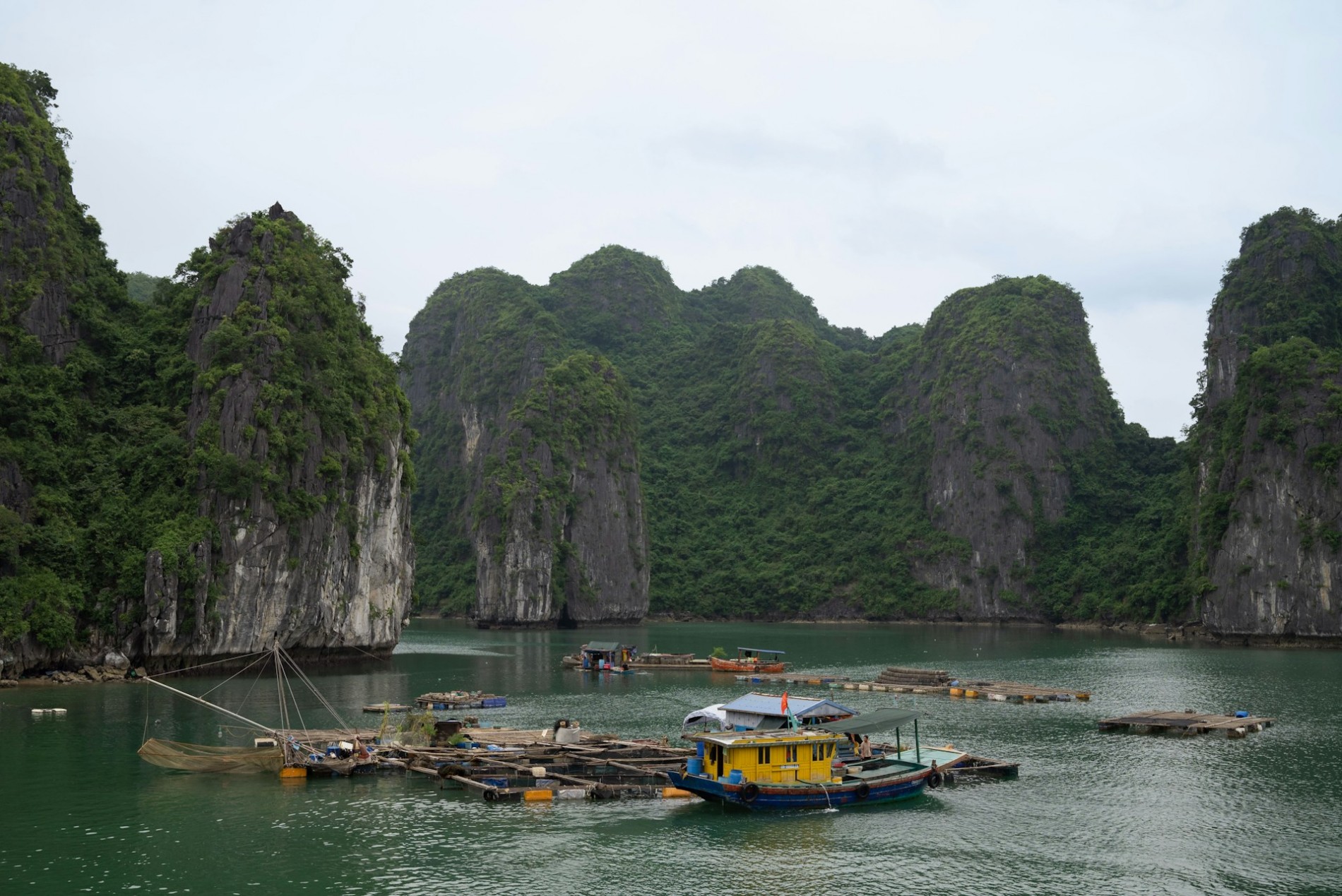 Phong cảnh thiên nhiên hoang sơ tại vịnh Lan Hạ. Ảnh: Siddhesh Mangela