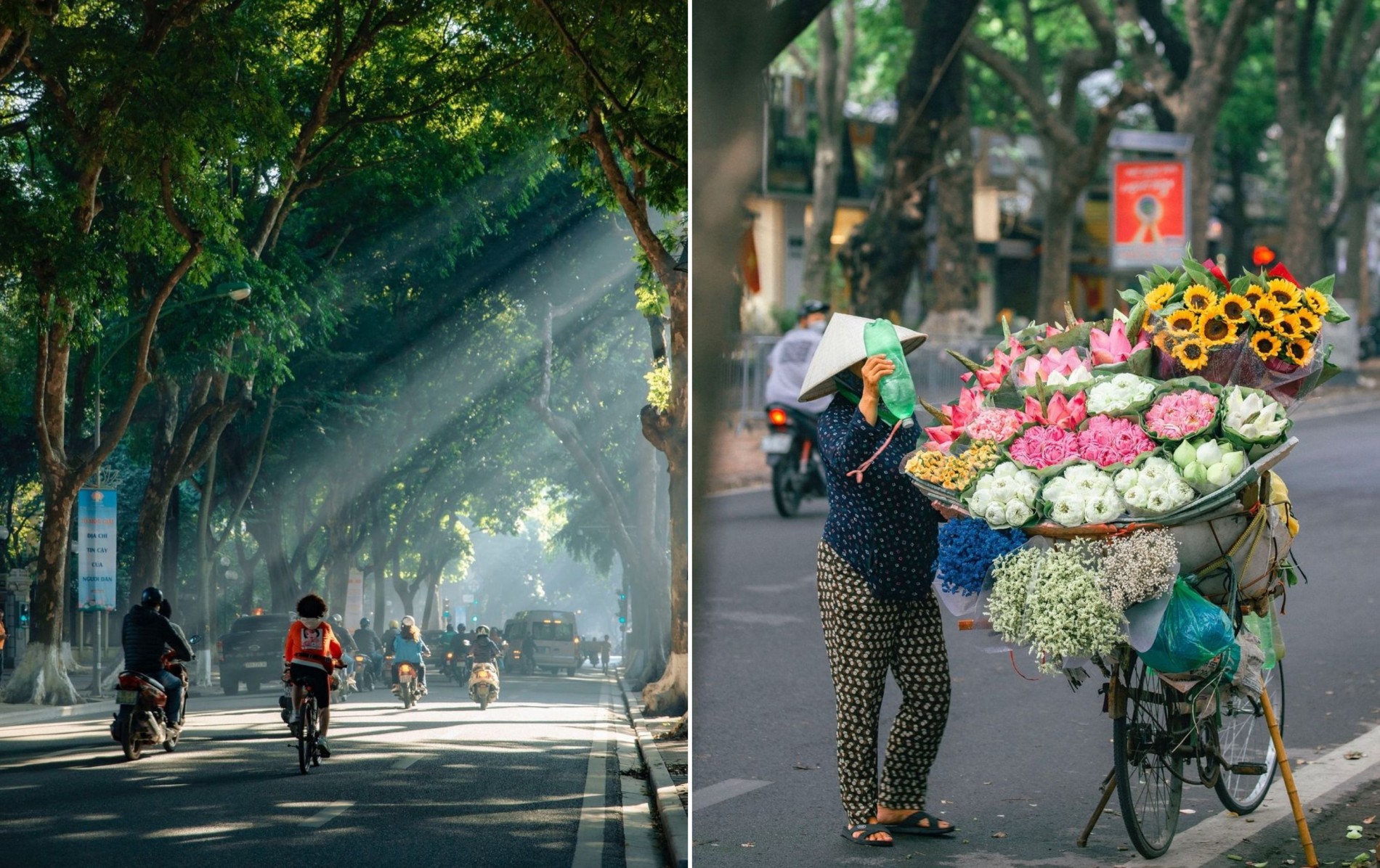 Cẩm nang du lịch Hà Nội: Hành trình chinh phục trái tim Tổ quốc