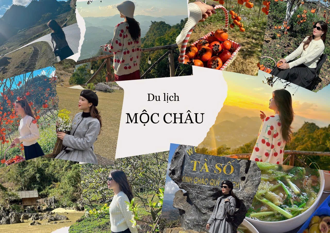 Du lịch Mộc Châu: trọn bộ bí kíp khám phá vùng núi Tây Bắc