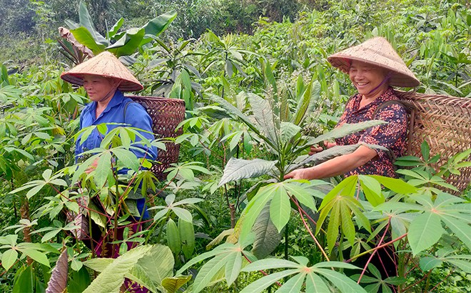 Du lịch Việt Nam:  Nguồn dư địa dồi dào để phát triển du lịch sức khỏe