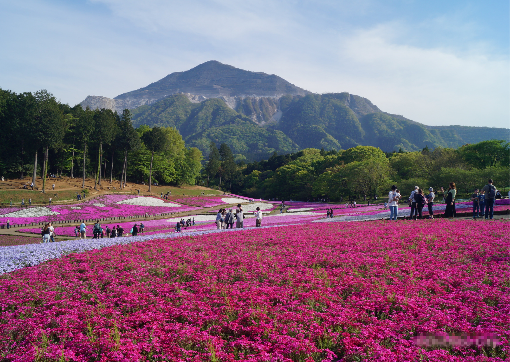 cong-vien-chichibu-hitsujiyama-1-chichibu-city-1740120190.png