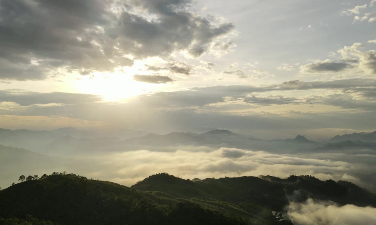 img-3641-1688730762-1748493583.webp