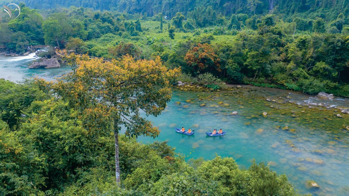 Top 10 Vườn quốc gia tại Việt Nam mà du khách không thể bỏ lỡ