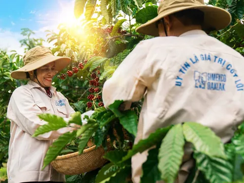 Lễ hội Cà phê Buôn Ma Thuột 2025: Thưởng thức văn hóa cà phê, tận hưởng điểm đến di sản Đắk Lắk