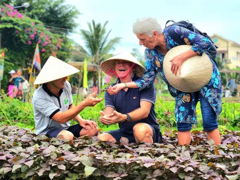 Chiêm ngưỡng nét đặc trưng của 3 làng du lịch tốt nhất Việt Nam được thế giới bình chọn